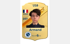 6ac29c919dbc5_CarteFUTArmand.png